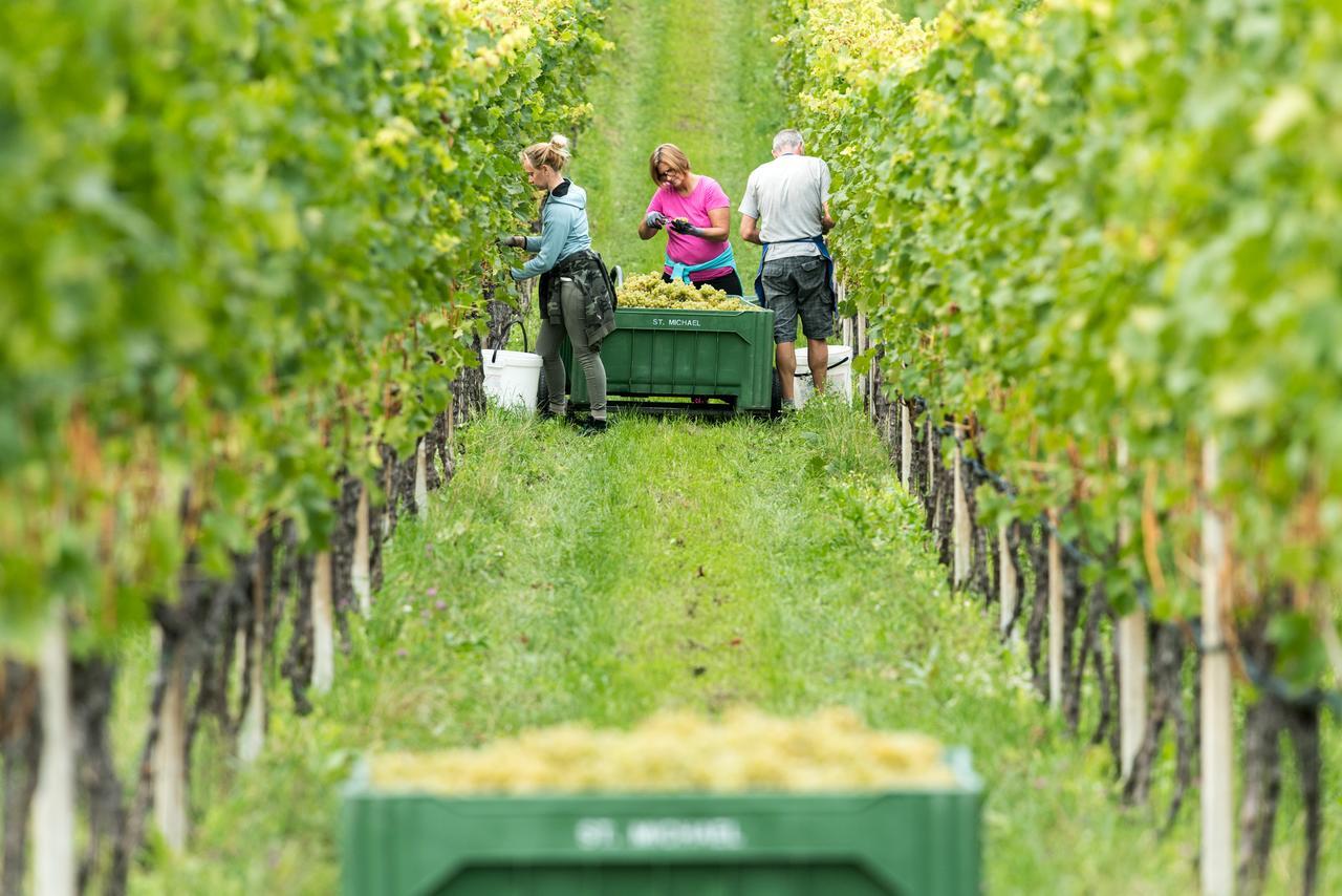 Hotel Linger Appiano Sulla Strada Del Vino Zewnętrze zdjęcie